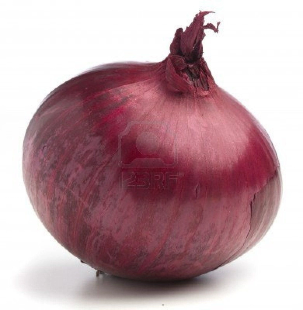 Big Onion