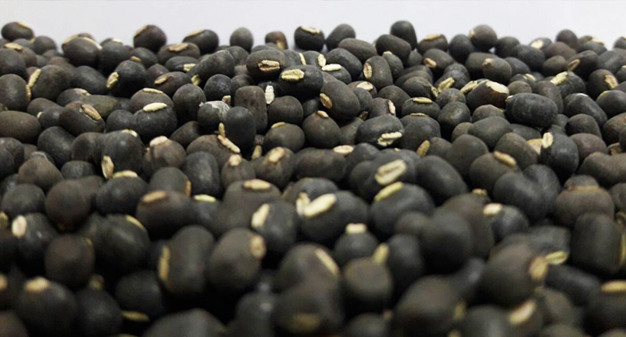 Black Mate (SQ)