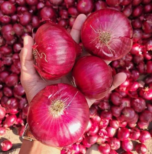 A Grade Onion