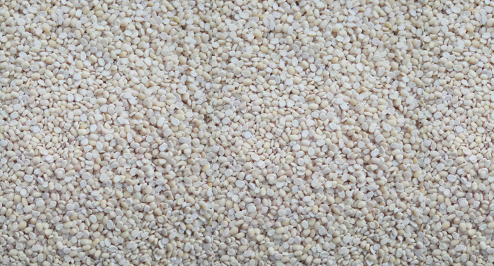 BM Dal