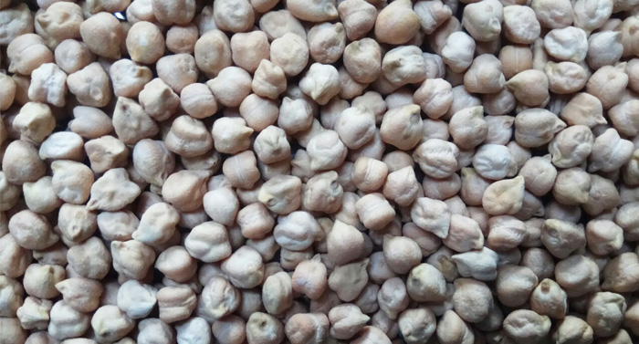 Chick Peas