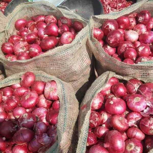 Indian Shallot Indian Onion / Baby Onion